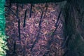 Booby trap made by Vietcong at Cu Chi tunnels area, Vietnam